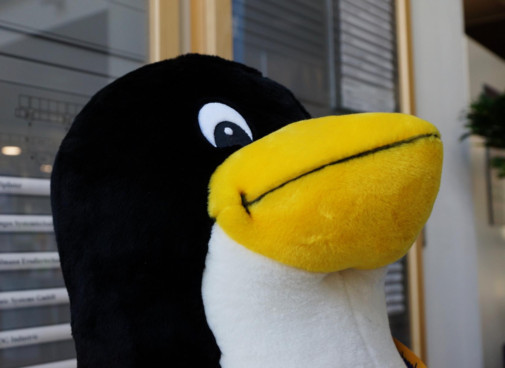 Nach der Veranstaltung: Tux ist zufrieden Nach der Veranstaltung: Tux ist zufrieden